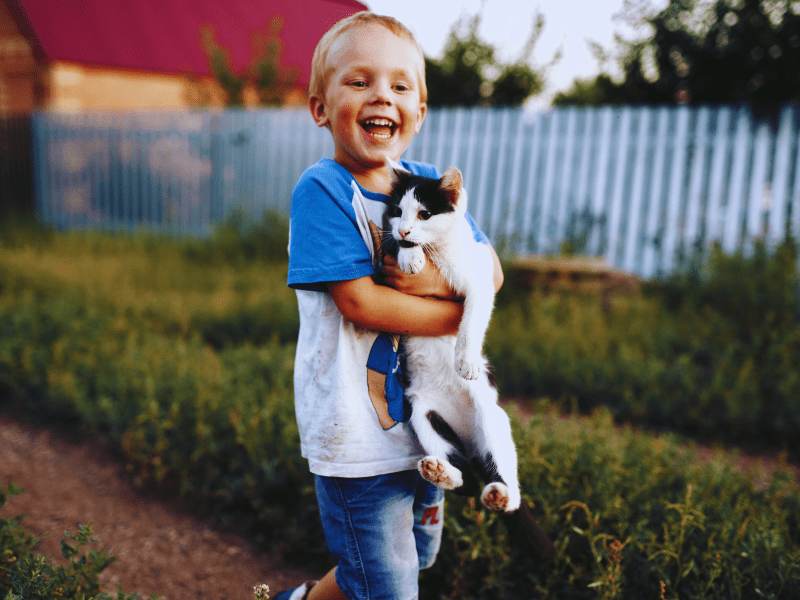 Pet Cremation in Toowoomba – Supporting Families Through Difficult Goodbyes
